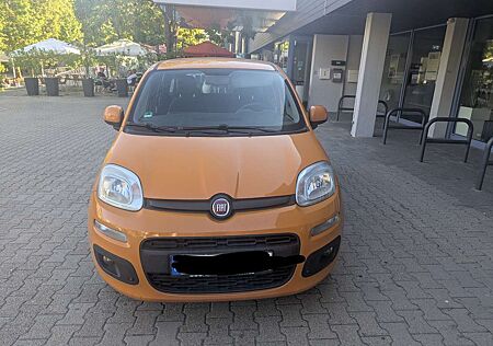Fiat Panda Natural Power/LPG 1.2 8V LPG Easy