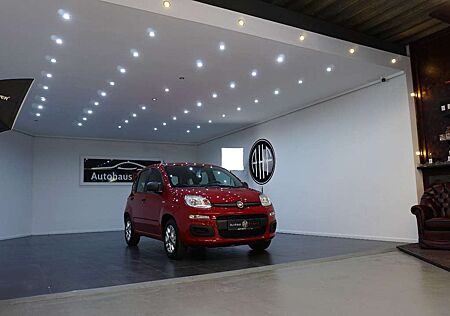 Fiat Panda Pop*PDC*Bluetooth*Klima