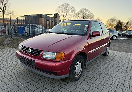 VW Polo Volkswagen TÜV 2026/GEPFLEGT/3. HAND
