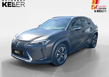 Lexus UX 250h UX250H STYLE EDITION 2xKlima ACC AUT DynLicht LM