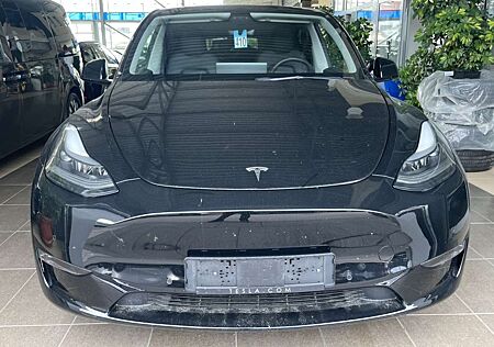 Tesla Model Y Long Range Dual AWD Pano Leder R.Cam LED
