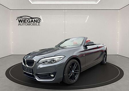 BMW 218 i Cabrio Aut. Sport Line+LED+NAVI+LEDER+