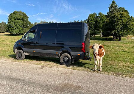 Mercedes-Benz Sprinter gebraucht kaufen Mercedes-Benz Sprinter 419 CDI 4x4 Kompakt HA 7G-TRONIC Plus
