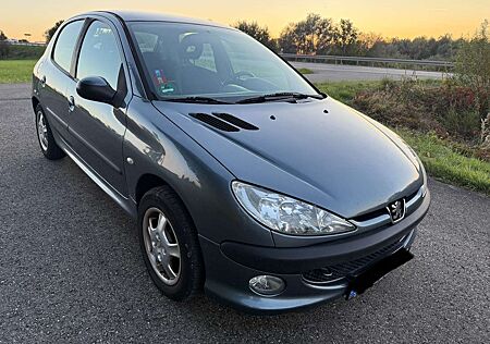 Peugeot 206 Grand Filou Cool