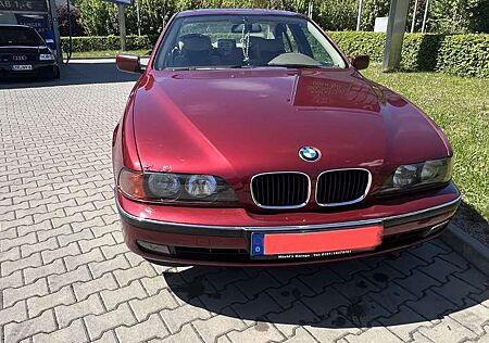 BMW 523i 523
