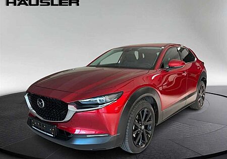 Mazda CX-30 Selection 2.0 Automatik Navi Rückfahrkamera LED