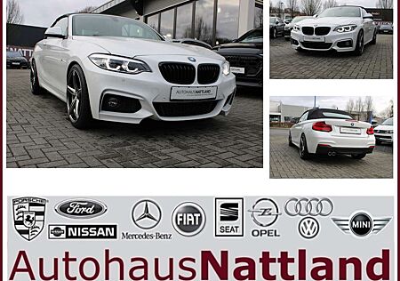 BMW 220i 220 Cabrio M Sport Navi Autom. PDC Temp. H&K