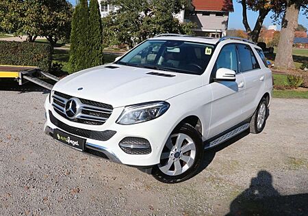 Mercedes-Benz GLE 250 d 4Matic AHK Kamera Navi LED Schiebedach