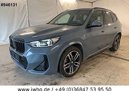 BMW X1 20d xDr M Sport DRIVING PRO/360°KAMERA/AHK