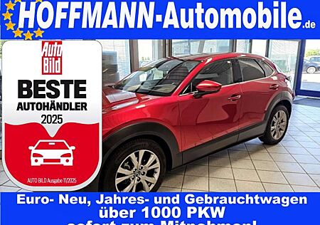 Mazda CX-3 Exclusive-Line AHK,Kamera 360,Sitzheizung