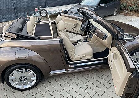 VW New Beetle Volkswagen