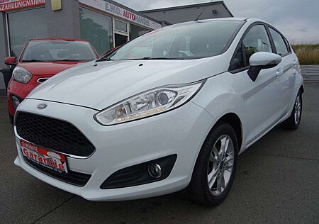 Ford Fiesta Celebration 5-Türig Winterpaket