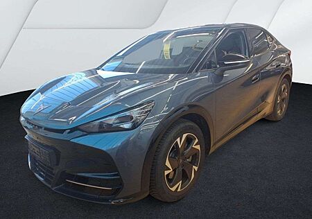 Cupra Tavascan Endurance Navi Matrix SHZ WP ACC Kessy