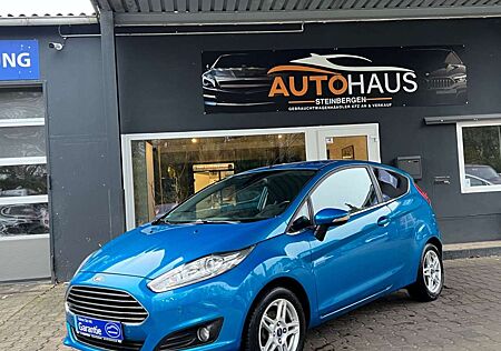 Ford Fiesta Titanium/12 Monate Garantie/Navi/Sitzheiz