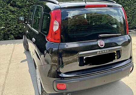 Fiat Panda 1.2 Lounge 69cv E6