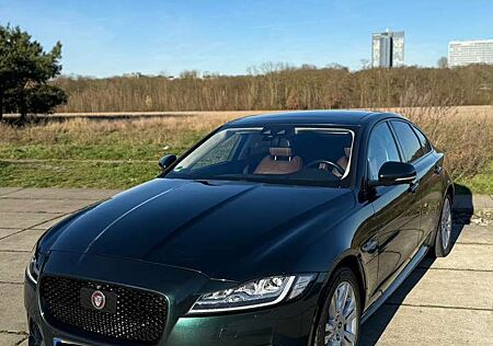 Jaguar XF 30d Aut. R-Sport