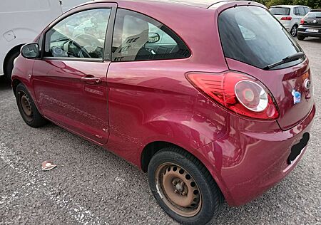Ford Ka gebraucht kaufen Ford Ka /+ 1.2 Trend