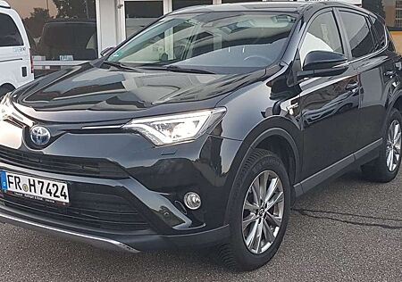 Toyota RAV 4 RAV+4+2.5+4x2+Hybrid+Team+Deutschland