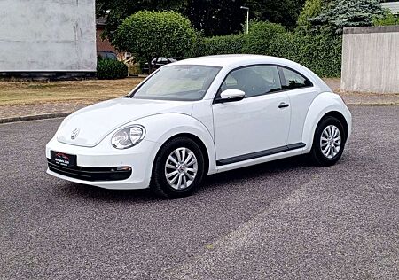 VW Beetle Volkswagen Lim. Basis BMT*wenig km*Klima*1 Hand*