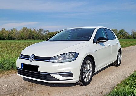VW Golf Volkswagen 1.5 TSI ACT OPF BlueMotion IQ.DRIVE