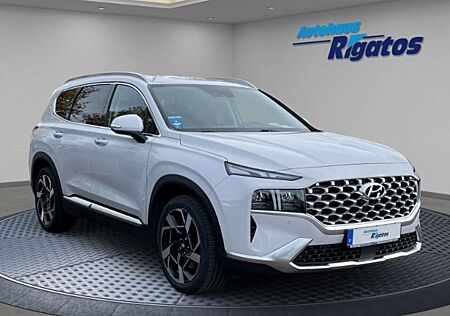 Hyundai Santa Fe gebraucht kaufen Hyundai Santa Fe 2.2 CRDi, Prime 4WD Autom. Leder, AHK, Navi, Sitzh