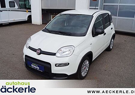 Fiat Panda Base Klima I Bluetooth I DAB I Mild-Hybrid