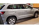 Skoda Karoq 2.0 TSI 4x4 DSG Sportline