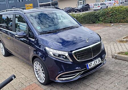 Mercedes-Benz V 250 gebraucht kaufen Mercedes-Benz V 250 (BlueTEC) d lang 7G-TRONIC Avantgarde