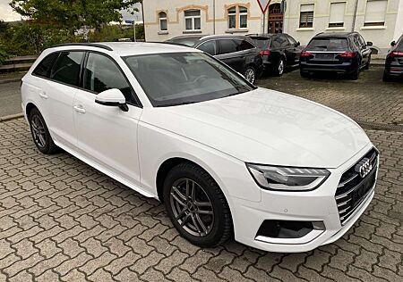 Audi A4 Avant 30 TDI AHZV / LED / Akustik / Navi+