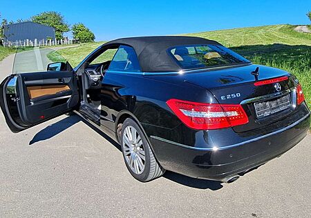 Mercedes-Benz E 250 CDI DPF Cabrio BlueEFFICIENCY 7G-TRONIC Avan