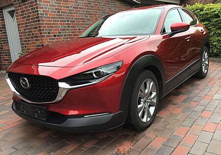 Mazda CX-30 SKYACTIV-G 2.0 M-Hybrid 150 AWD Aut. SELECTI