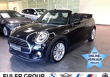 Mini Cooper Cabrio A Chili 17'' Color-Line Windschutz El. Verdeck Sp