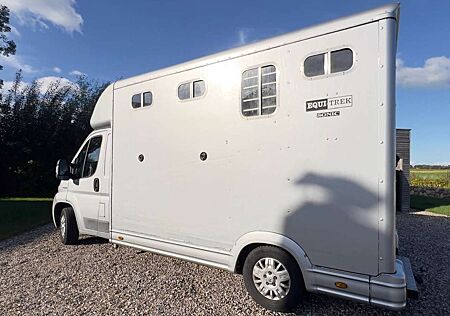Peugeot Boxer Pferdetransporter