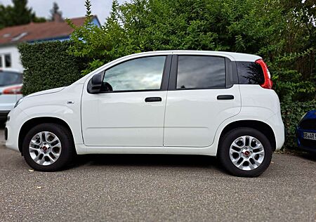 Fiat Panda 1.2More
