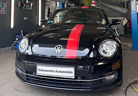 VW Beetle Volkswagen Cup *PDC*SzHzg.*8Fach*Tüv Neu