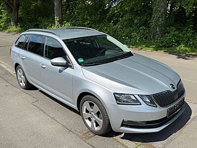 Skoda Octavia Combi 1,6 TDI DSG+LED Scheinwerfer+17 Zoll Alu