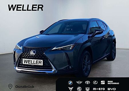 Lexus UX 250h Executive Line *HUD*Leder*GSD*CAM*el Heck*
