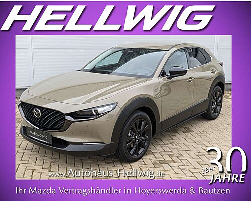 Mazda CX-30 2.0l Skyactiv-X Nagisa Teilleder Bose Navi NEU