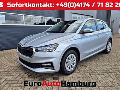 Skoda Fabia 1.0 TSI 115PS DSG Selection 5-türig Rückf.Kamera P