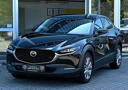 Mazda CX-3 0 Aut. LEDER+NAVI+HUD+ACC+BOSE+MEMORY+KEYLES