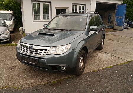 Subaru Forester Comfort