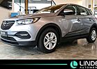 Opel Grandland X Edition |NAVI|LED|PDC|17 ALU