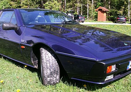 Lotus Excel Excel S.E.