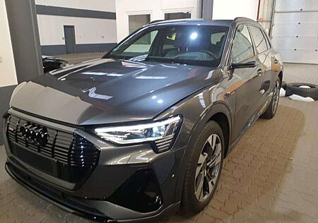 Audi e-tron 50 Q 2x S LINE/BLACK/MATRIX/ACC/HuD/360°