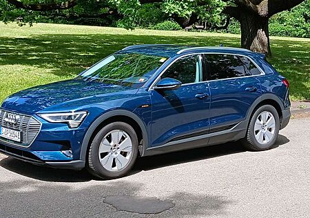 Audi e-tron 55 quattro basis mit AHK und 4 Winterrädern