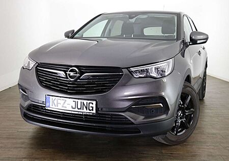 Opel Grandland X 1.2 Turbo, Edition*LED*2-Zonen*