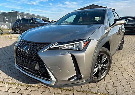 Lexus UX 250h Luxury Line