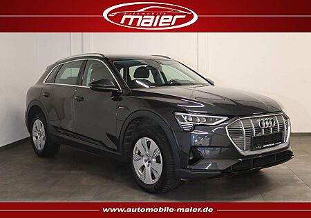 Audi e-tron 55 quattro-NAV-LED-KAMERA-AHK-LUFT-