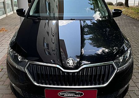 Skoda Fabia TÜV AU NEU*PDC*KLIMA*SITZ-HZ*Clever*APPLE CAR*