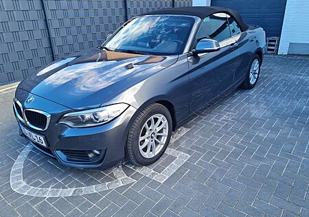 BMW 218d 218 Cabrio - Leder - PDC - M-Sport Lenkrad